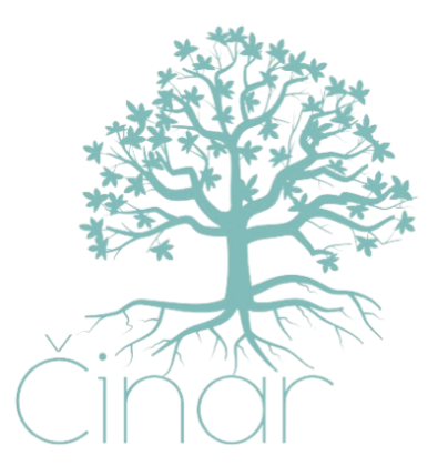 logo cinar