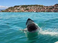 Кратка анкета за вашите потреби!