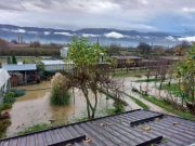 Ваши видеа и слики од состојбата во Охрид