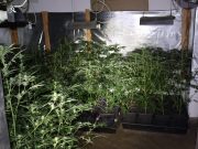 Подмоље: Лишен од слобода човек со голема количина на муниција и дрога