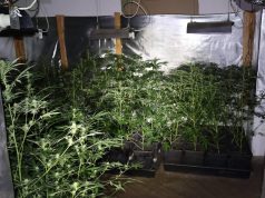 Подмоље: Лишен од слобода човек со голема количина на муниција и дрога