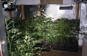 Подмоље: Лишен од слобода човек со голема количина на муниција и дрога